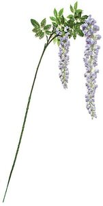 6 feet Wisteria Branch - 2 Purple Flowers - 16 inches Flower Length