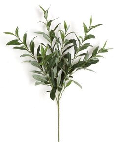Earthflora's 23 Inch Ifr Olive Branch (Sold By The Branch)