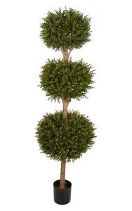 6.5 feet Plastic Outdoor Wintergreen Boxwood Triple Ball Topiary