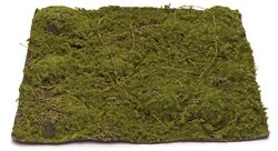 Earthflora's 13.5 Inch Moss Mat