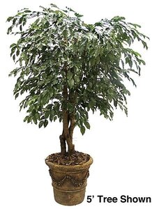 7 feet Ficus Tree - Natural Trunks - 2,646 Leaves - Green- Custom Made