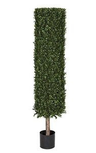 7 feet Plastic Outdoor Boxwood Cylinder Topiary - Limited UV Protection