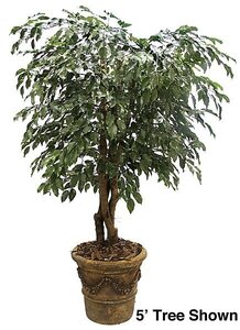 8 feet Ficus Tree - Natural Trunks - 3,284 Leaves - Green- Custom Made