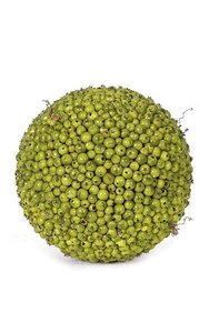 9 inches Green Berry Ball - 1,300 Berries