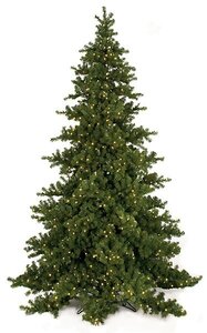 15 feet Nikko Fir Christmas Tree - Full Size - 2,750 Warm White 5mm LED Lights