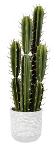 Artificial Green Aloe Cactus