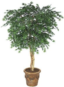 Earthflora's 6 Foot Polyblend Japanese Maple Tree - Green Or Rust