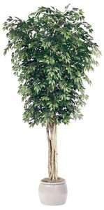 16 feet Ficus Tree - Natural Trunks - 14,112 Leaves