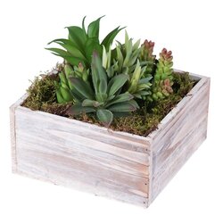5 inches x 9 inches Potted Succulents in Silver Pot - Assorted Green