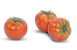 Tomatoes sold by the dozen