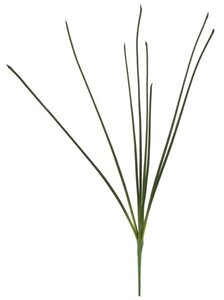 29 inches Spiky Grass Bush - 8 Green Wired Stems - Bare Stem