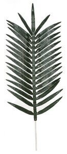 5.5 feet Polyblend Coconut Palm Frond