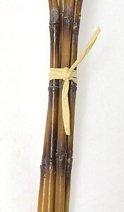 Plastic Bamboo Bundle Tied With 2 Pieces of Raffia- 6 Bamboo Sticks