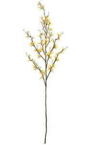 36 inches Forsythia Branch - Yellow Flowers - 15 inches Stem