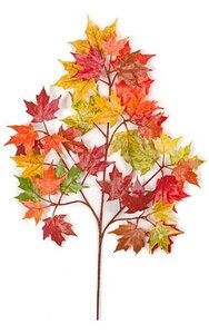 22 inches Canadian Maple Branch - 34 Leaves - Fall (sold by dozen)