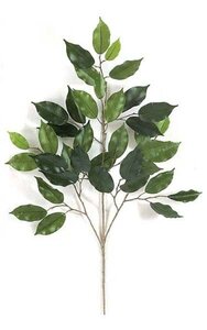 25 inches Ficus Branch - 38 Leaves - Green-sold by dozen