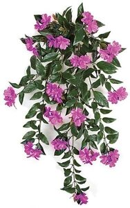 30 inches Outdoor Impatiens Bush - 16 Dark Lavender Flowers Clusters - 4 inches Stem
