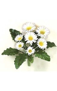 12 inches Gerbera Daisy Bush - 8 Leaves - 7 Flowers - White - Bare Stem