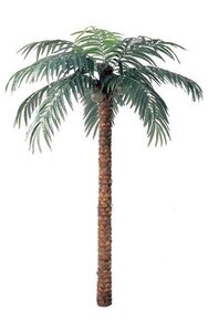 11 Foot to 12 feet Artificial Coconut Palm - Natural Trunk - 15 Fronds - 3 Coconuts - Bare Trunk