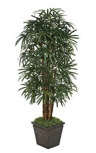 7 feet  Artificial Lady Palm - 7 Natural Trunks - 170 Fronds - Green - Weighted Base