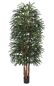 8 feet Lady Palm - 7 Natural Trunks - Green - Weighted Base