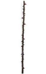 40 inches Plastic Rose Thorn - Dark Red/Green