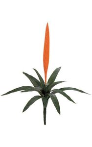 27 inches Plastic Outdoor Tropical  Vriesea Splendens Bromeliad - 12 Green Leaves - Orange Flower