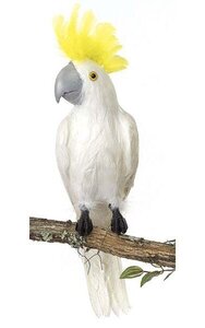 Artificial 20 inches Cockatoo - White