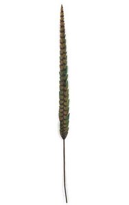 29 inches Feather Stem - Green - 1.5 inches Width