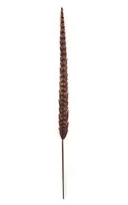 29 inches Feather Stem - Purple - 1.5 inches Width
