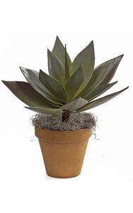 23 inches Agave Plant - Natural Touch - 15 Leaves - 22 inches Width - Green - Bare Stem