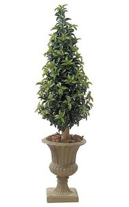 5 feet Outdoor Laurel Cone Topiary - Natural Trunk - Green - Weighted Base