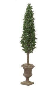 7 feet Laurel Cone Topiary - Natural Trunk - 1,998 Leaves - 513 Berries - Green - Weighted Base