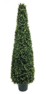 6 feet Outdoor UV  Boxwood Cone Topiary