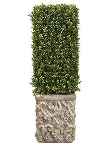 37"Hx13.5"Wx13.5"L Outdoor Boxwood in Stone Pot Green