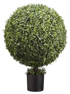 36" Boxwood Ball Topiary in Nursery Pot Green