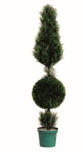 5 feet Cedar Cone and Ball Topiary Indoor/Outdoor   