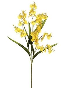 31 inches Dancing Orchid -  91 Flowers - Yellow