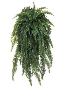 48 inches Long 30 inches Wide Outdoor UV Weeping Boston Fern Hanging Bush Light Green   *****2pc ...