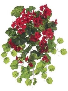 UV Geranium Bush  Red