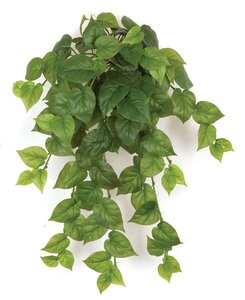 32 inches Philodendron Bush - Soft Touch - 102 Leaves - Green