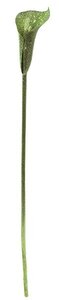 29 inches Glittered Calla Lily Stem - 24 inches Stem - Green
