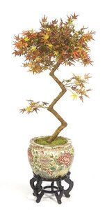 3.5' Mini Japanese Maple Faux Bonsai Multi Fall