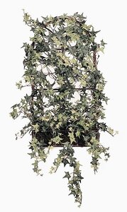 Faux Life Like Pittsburgh Ivy Small Rustic Iron Fence