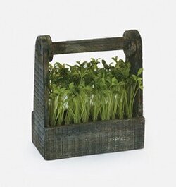 Kitchen Decorating Accessory Bean Sprout in Wooden Box