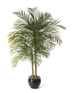 9.5 feet Faux Life Like Areca Palm Tree
