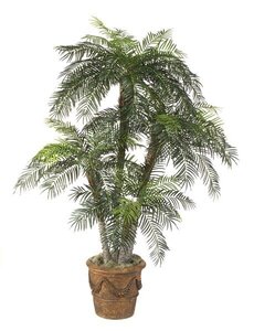 8.5 Foot Phoenix Palm Tree Set
