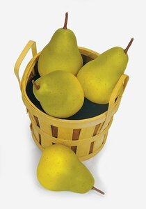 A-8006 Pears sold by the dozen