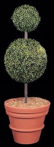 Custom Made 4 feet Plastic Boxwood Topiary