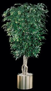 Sculptured Ficus Tree Custom Made in Various Heights